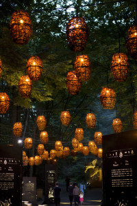 2-foresta-lumina-light-installation-by-moment-factory