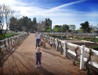 Welcome to the agrihood, home of the suburban farmer