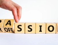 When Passion Meets Paycheck: A Love Story… or a Plot Twist?