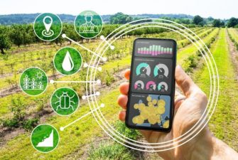 Precision farming, the French way: when technology reinvents the fields