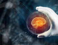 Why Investors Are Betting on Brain Organoids