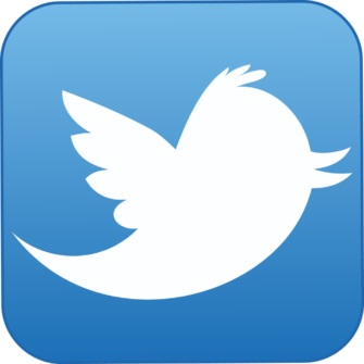 Empty Nest: Twitter’s Uncertain Future