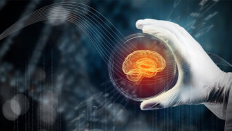 Why Investors Are Betting on Brain Organoids