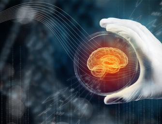 Why Investors Are Betting on Brain Organoids